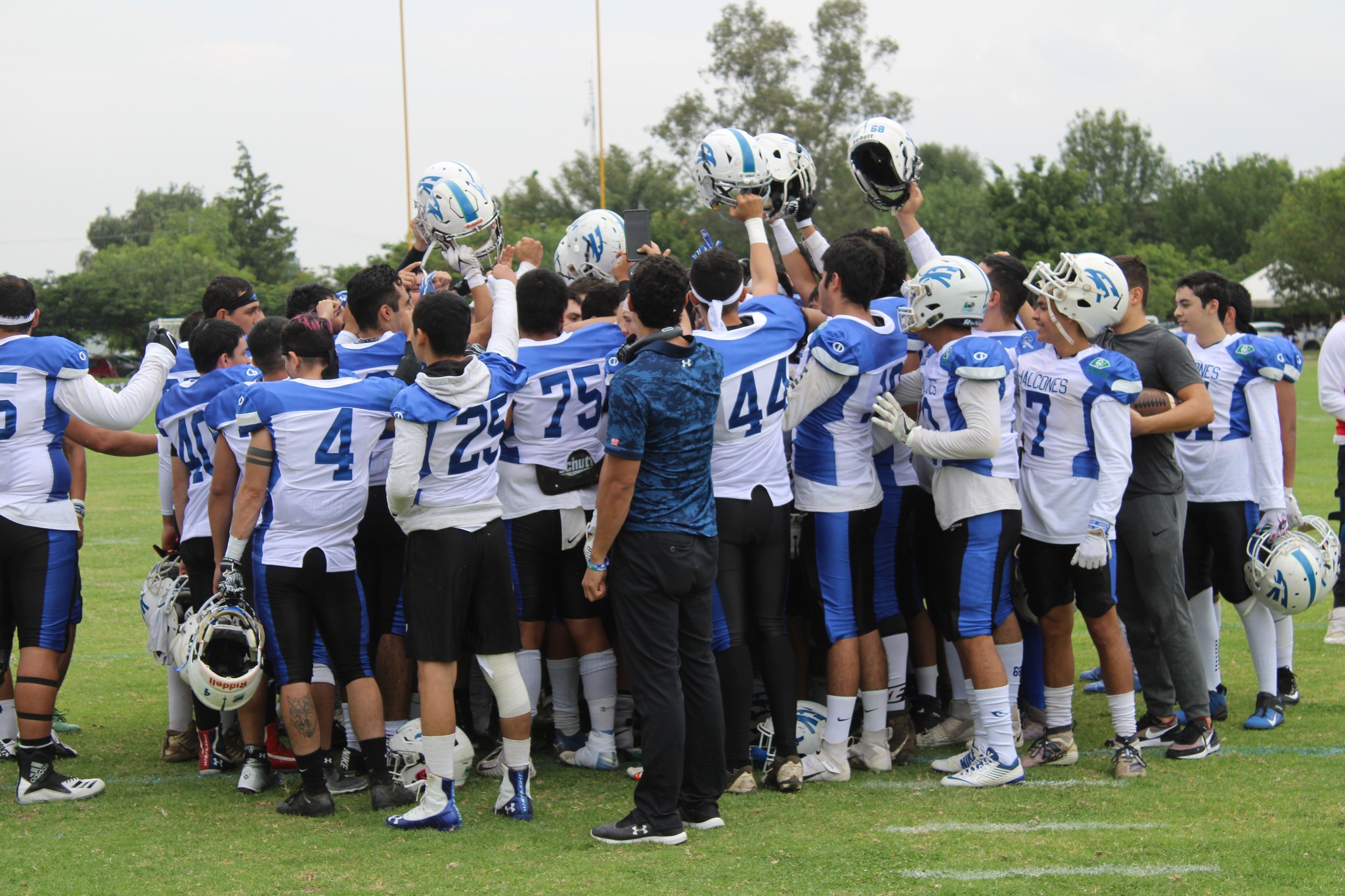 Halcones UV quiere recuperar terreno en Liga Mayor - Inercia Deportiva 