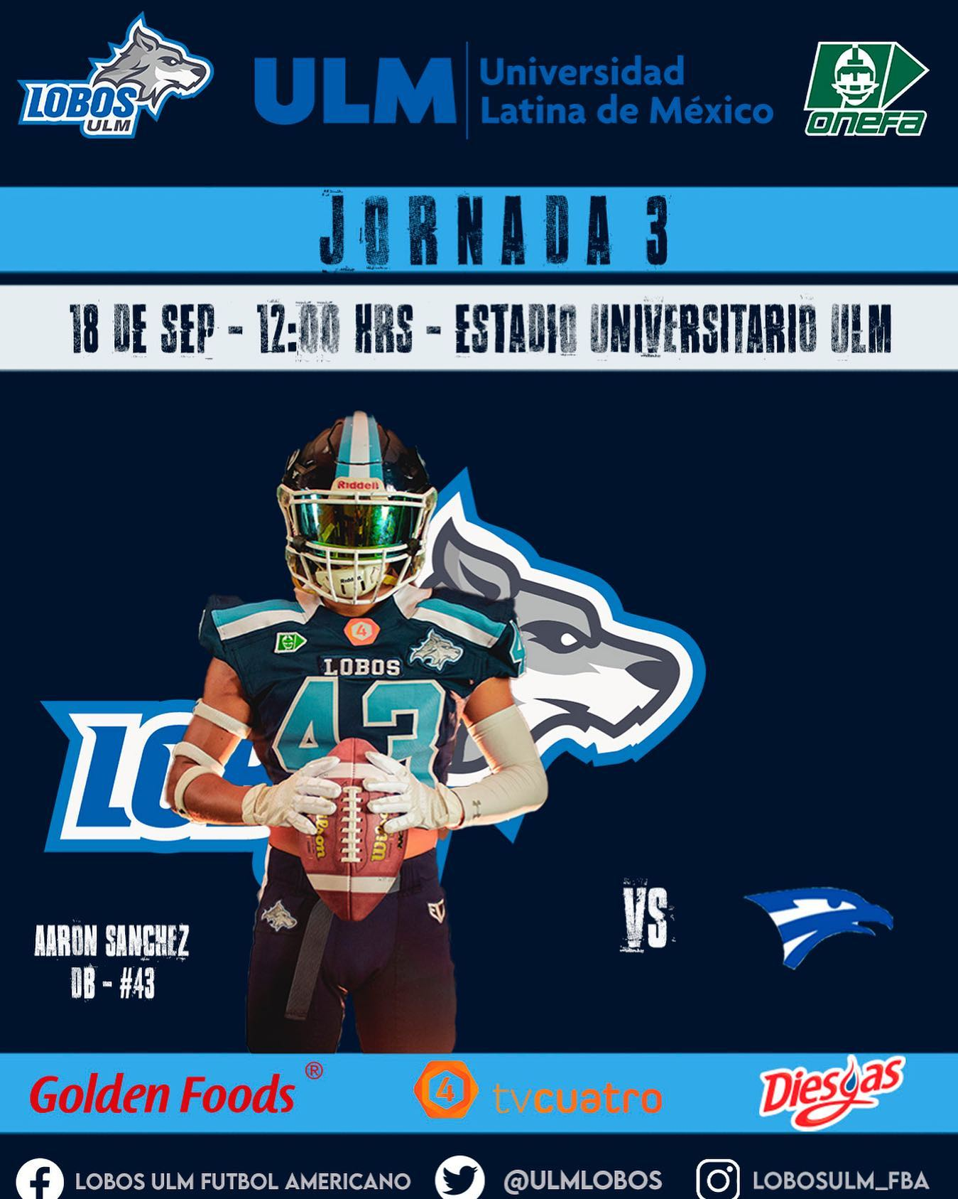 Halcones UV visita Celaya: enfrentan a Lobos ULM - Inercia Deportiva